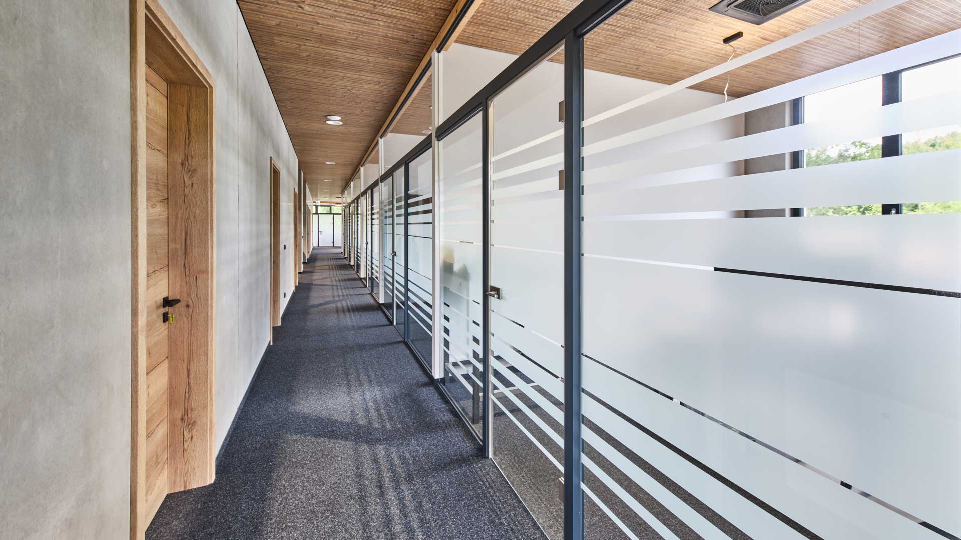 Moderner Büroflur mit rahmenlosen Glastrennwänden und satinierten Streifenmustern, ergänzt durch edle Holztüren, für helle B…