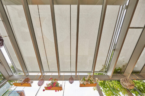 Weinor WGM TOP OptiStretch Aufdachmarkise auf Glas-Terrassenüberdachung für optimalen Sonnenschutz in Zorneding.