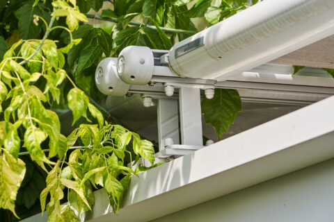 Nahaufnahme einer weißen doppelten Führungsschiene für Wintergarten-Beschattungssystem von weinor, umgeben von grünen Blätte…