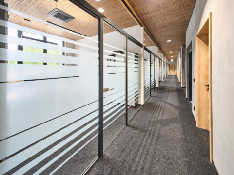 Langer Bürogang mit rahmenlosen Glaswänden, teils satiniert mit Streifenmuster und Holztüren. Moderne Büroraumgestaltung.