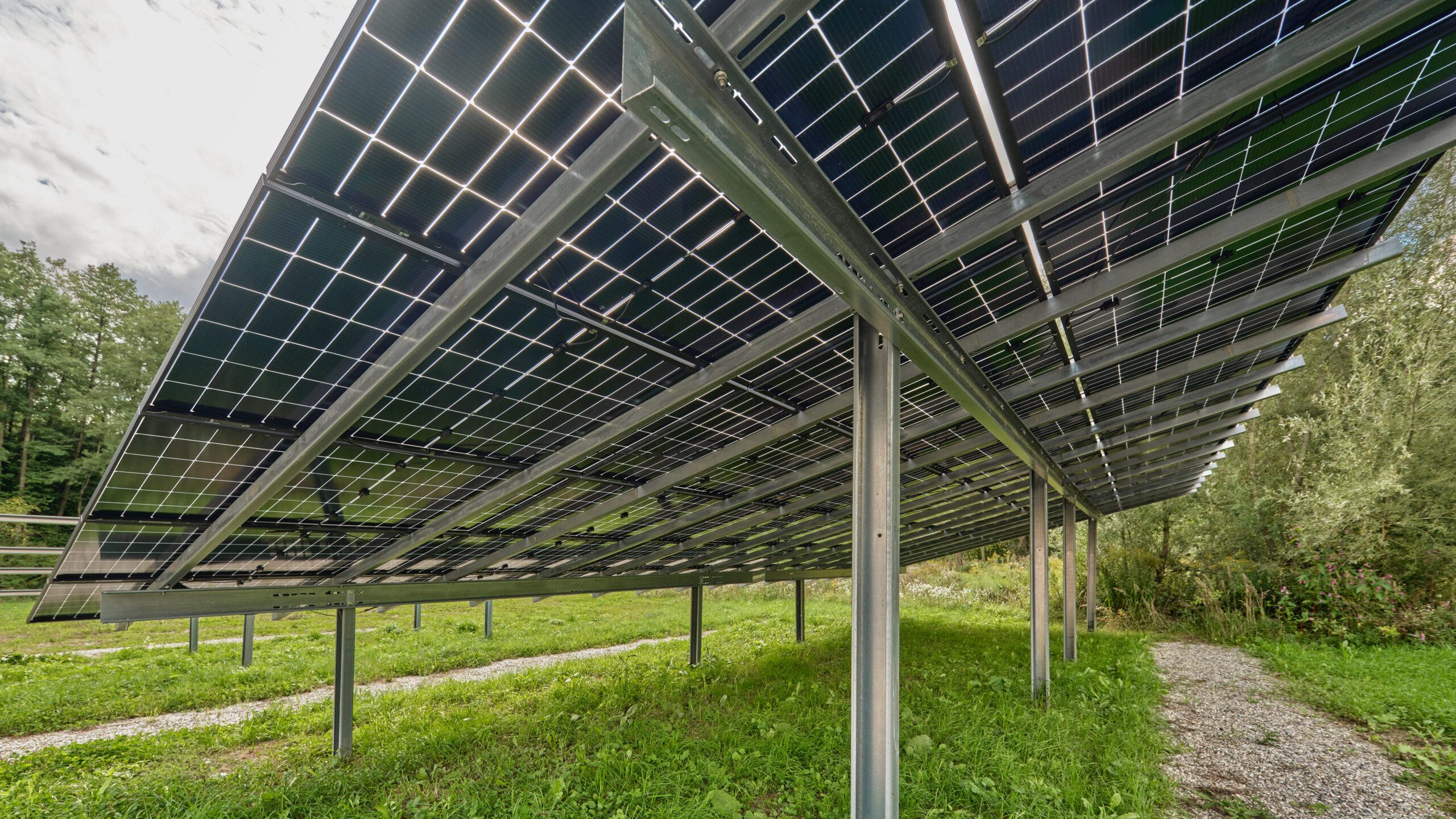 PV Freiflächenanlagen Planung, Beratung, Verkauf